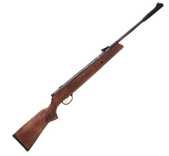 Best PCP Air Rifle for Target Shooting