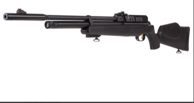 Best PCP Air Rifle for Small Game