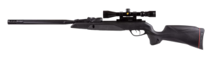 Gamo Swarm Maxxim G2 .22