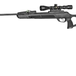 Best Gamo .22Air Rifle