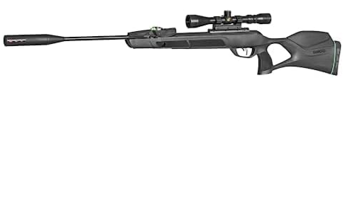 Best Gamo .22Air Rifle