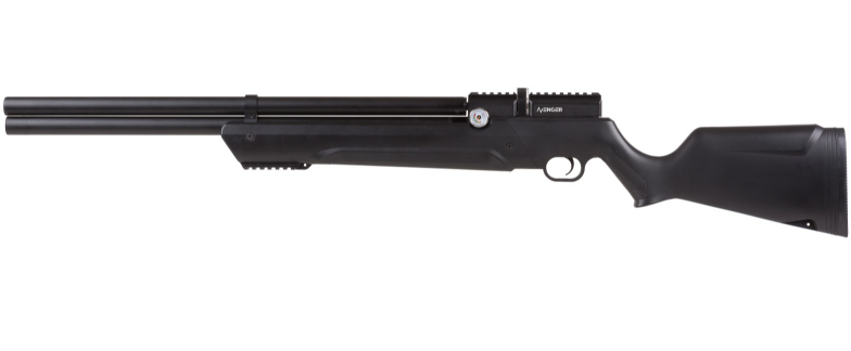 Best PCP Air Rifle for Squirrel