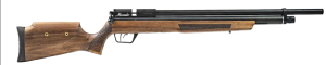 Benjamin Marauder (.177)