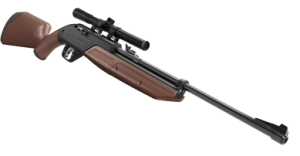 Crosman 760 Pumpmaster