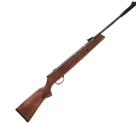 Best.22 Air Rifle