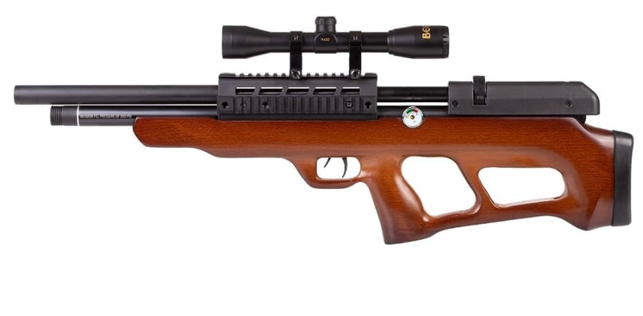 Best .22 Air Rifle for Hunting