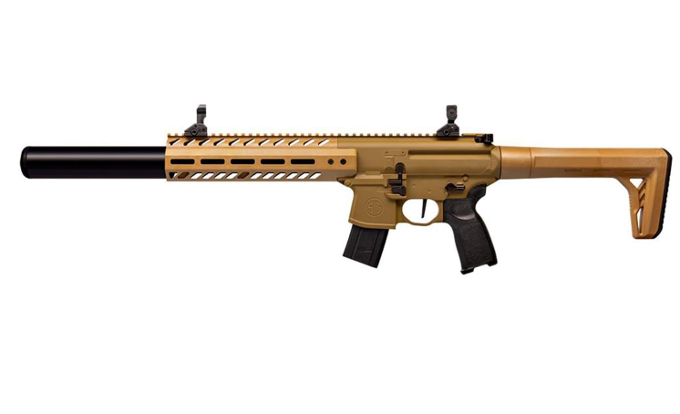 Best CO2 Air Rifle for Pest Control