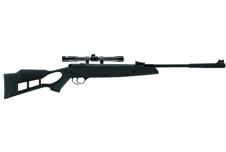Best Air Rifle for Backyard Plinking