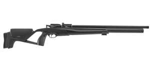 Stoeger XM1