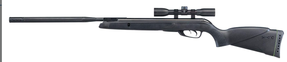 best gamo air rifle for squirrel hunting