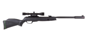 Gamo Whisper Fusion Mach 1