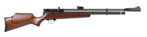 Beeman Chief II PCP (2