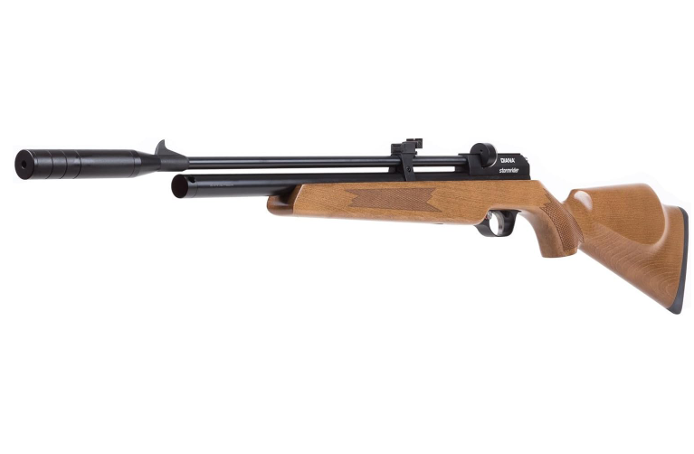 Best Quietest Air Rifle for Small Game