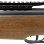 Best Tactical Rails for Air Rifle