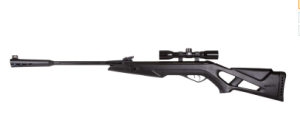 GAMO Swarm Whisper .177 Caliber Air Rifle