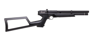 Benjamin Marauder BP2220