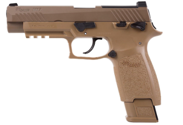 Best Indoor Accurate Pellet Gun