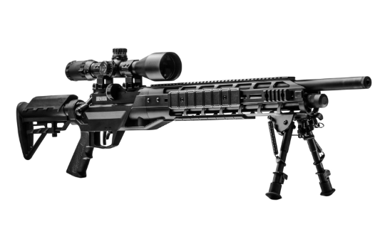 Best Non-Lethal Big Bore Air Rifles for Pest Control