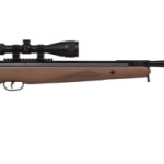 Best Accurate Air Rifle for target shooting