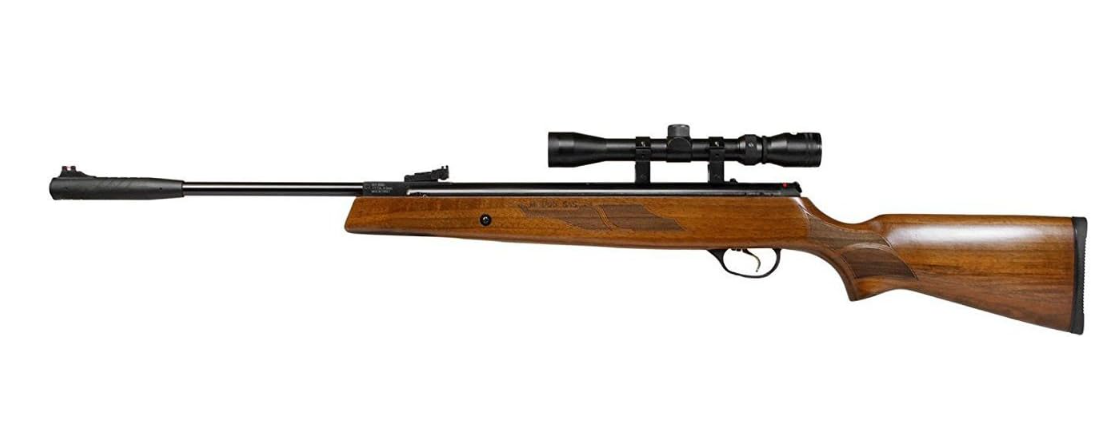 Best Accurate Survival Air Rifle