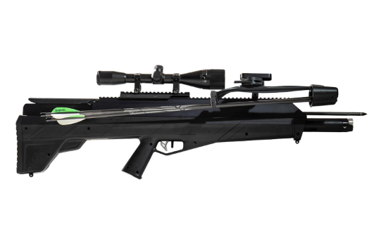 Best Big Bore Air Rifles for Wild Hog Hunting