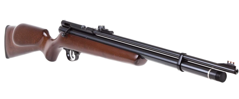 Best PCP Air Rifle for Hunting Varmints