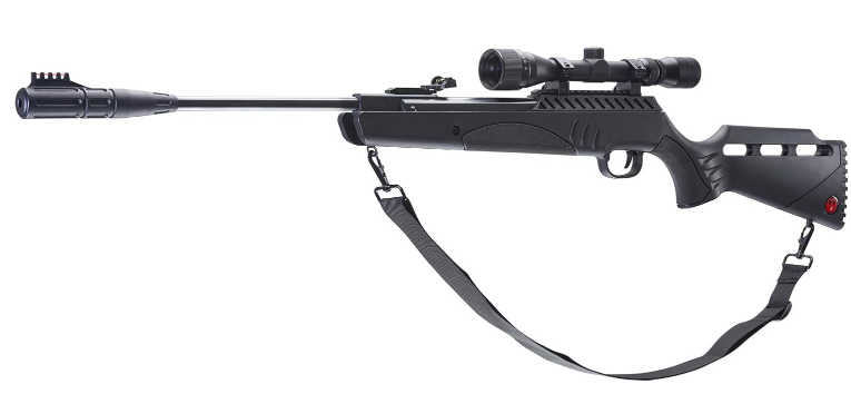 Best Pellet gun for Birds