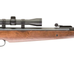 Best High FPS Air Rifle Under 300