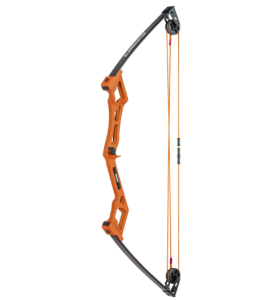 Bear Archery Apprentice