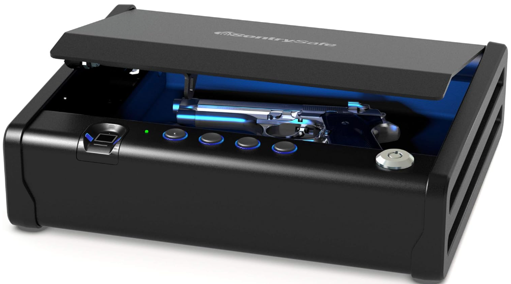 5 Best Small Gun Safe for Pellet Guns