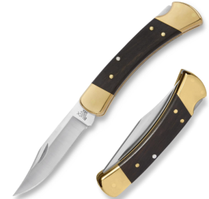  Buck Knives 110 Folding Hunter Lock-back Knife, Brass Bolsters, Ebony Handles, 3-3/4" 420HC Clip Point Blade with Leather Sheath